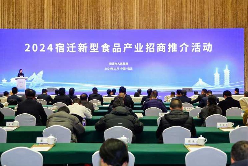 宿迁网站建设：为企业塑造品牌形象的新航标